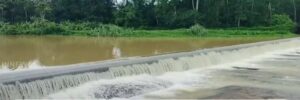 திற்பரப்பு அருவியில் வெள்ளப் பெருக்கு