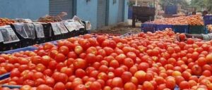 தக்காளி விலை கிடுகிடு உயர்வு!