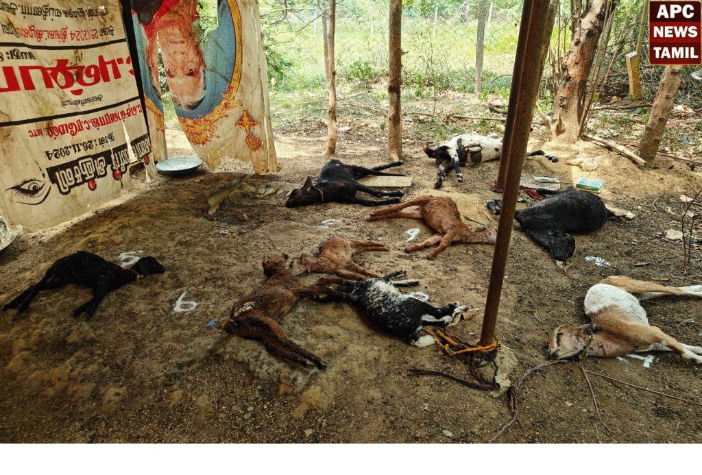 ஆவடி அருகே நாய் கடித்து ஒன்பது ஆடுகள் இறப்பு