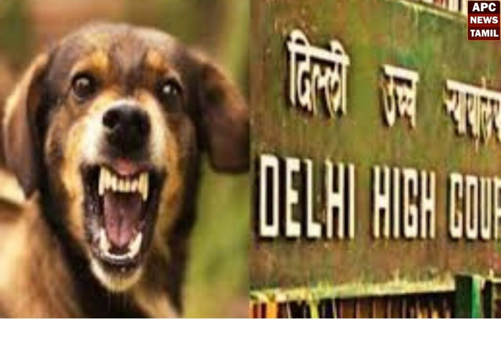 நாய்களை பிடித்து காப்பகத்தில் விட உச்சநீதிமன்றம் உத்தரவு!