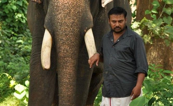 'கும்கி 2' படத்தில் இவர்தான் ஹீரோவா? .... முக்கிய அப்டேட்டை வெளியிட்ட படக்குழு!