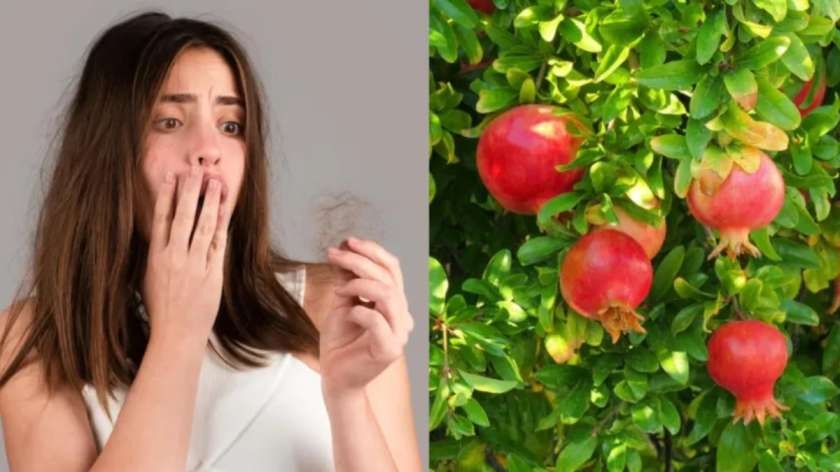 முடி உதிர்வை குறைக்க மாதுளை பயன்படுத்துங்க!