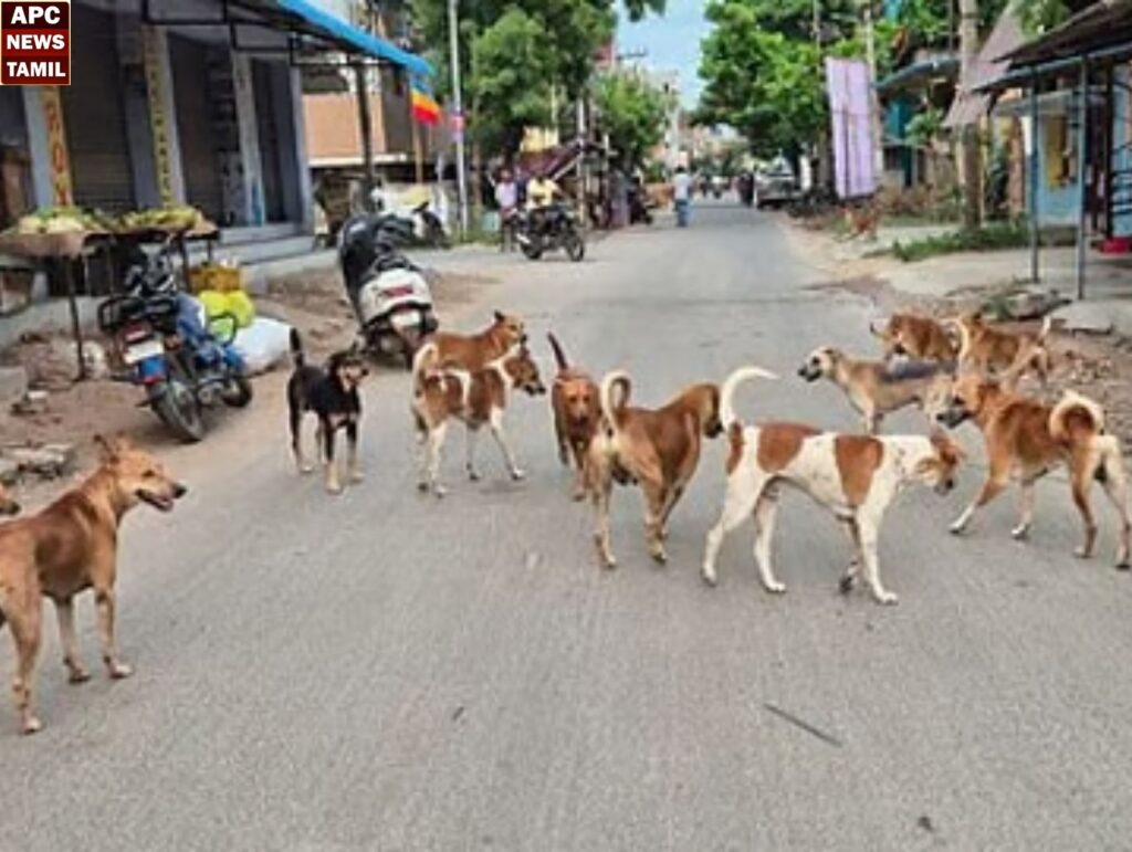 பெருகி வரும் தெருநாய்களின் அட்டூழியம்!! மேலும் இரு குழந்தைகளை கடித்து குதறிய தெருநாய்…