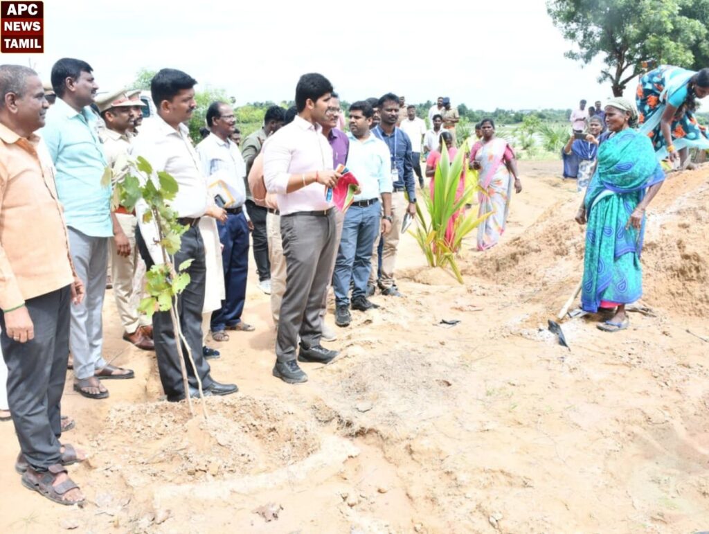 திருவள்ளூரில் பனை விதைகளை விதைக்கும் பணி தீவிரம்…