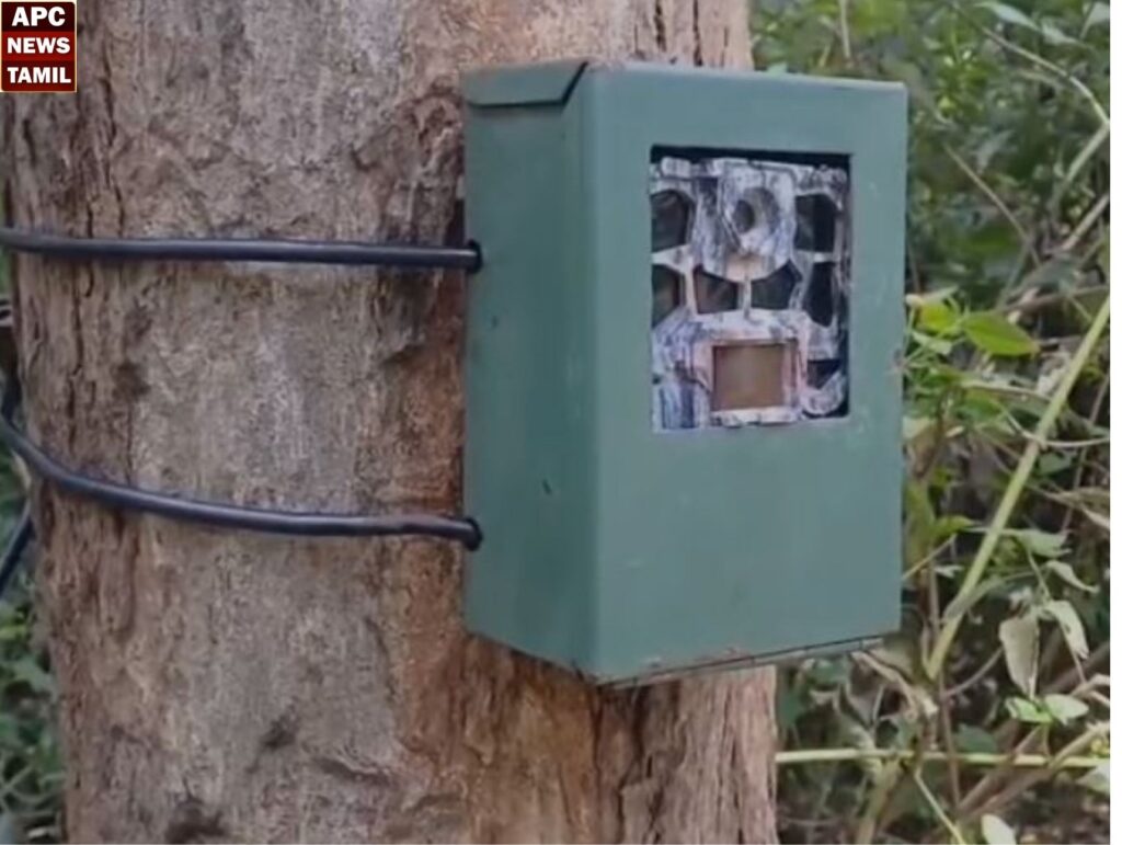 பொள்ளாச்சியில் குடியிருப்பிற்குள் புகுந்த சிறுத்தை… வனத்துறையினா் தீவிர கண்காணிப்பு…