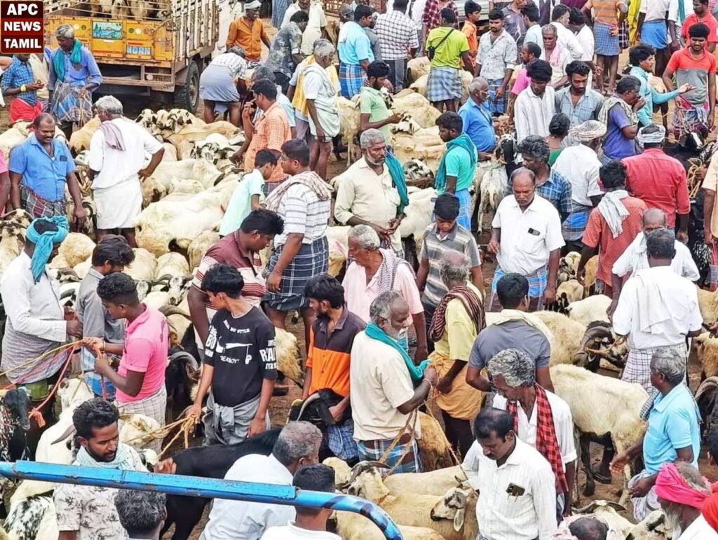 அய்யலூா் சந்தை களைகட்டியது - ஒரே நாளில் ரூ.5 கோடிக்கு ஆடு, கோழிகள் விற்பனை…