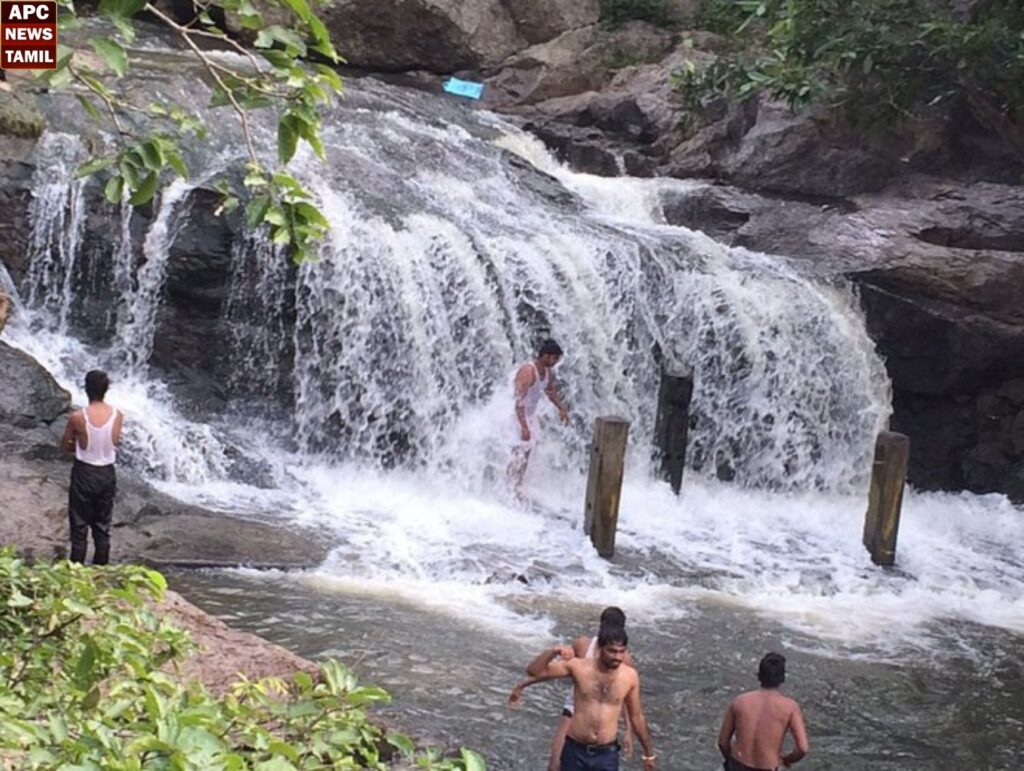 ஜவ்வாது மலை பகுதியில் நீர்வரத்து அதிகரிப்பு…பொதுமக்கள் குளிக்கத் தடை…