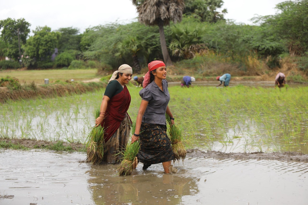 மாரி செல்வராஜ் அந்த மாதிரியான நடிப்பை எதிர்பார்க்கிறார்.... அனுபமா பரமேஸ்வரன்!