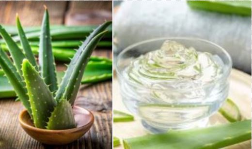 கற்றாழை ஜெல் மாஸ்க்