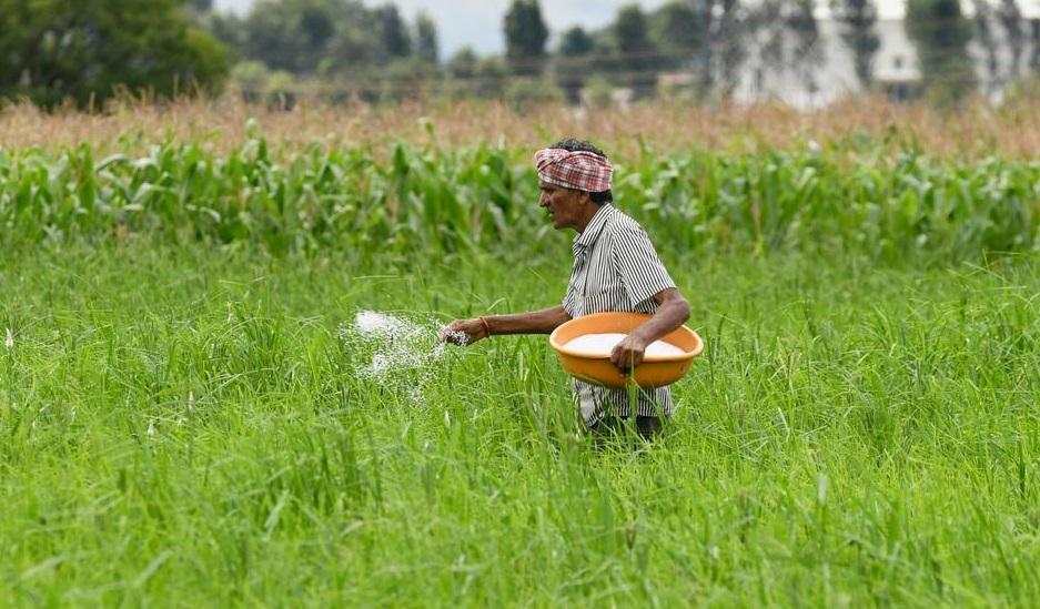 Action is needed to alleviate fertilizer shortage - Anbumani insists