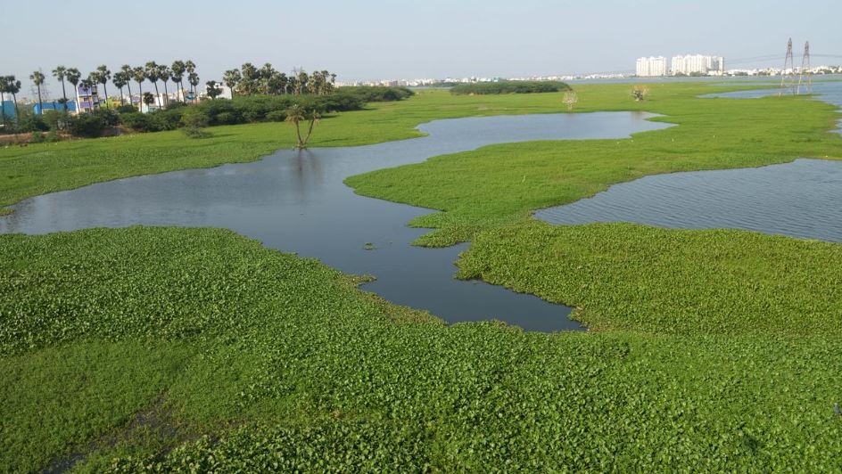 கொரட்டூர் ஏரியில் ஆயில் மற்றும் இரசாயனக் கழிவுகள்: குடிநீர் ஆதாரம் இப்போது கழிவுநீர் தேக்கம்!