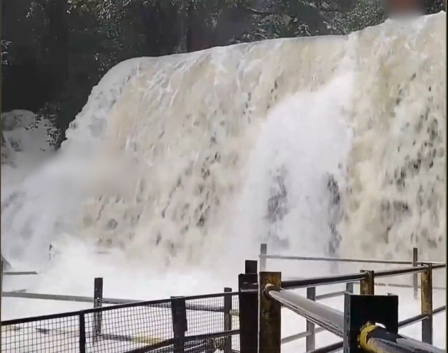 சுருளி அருவி