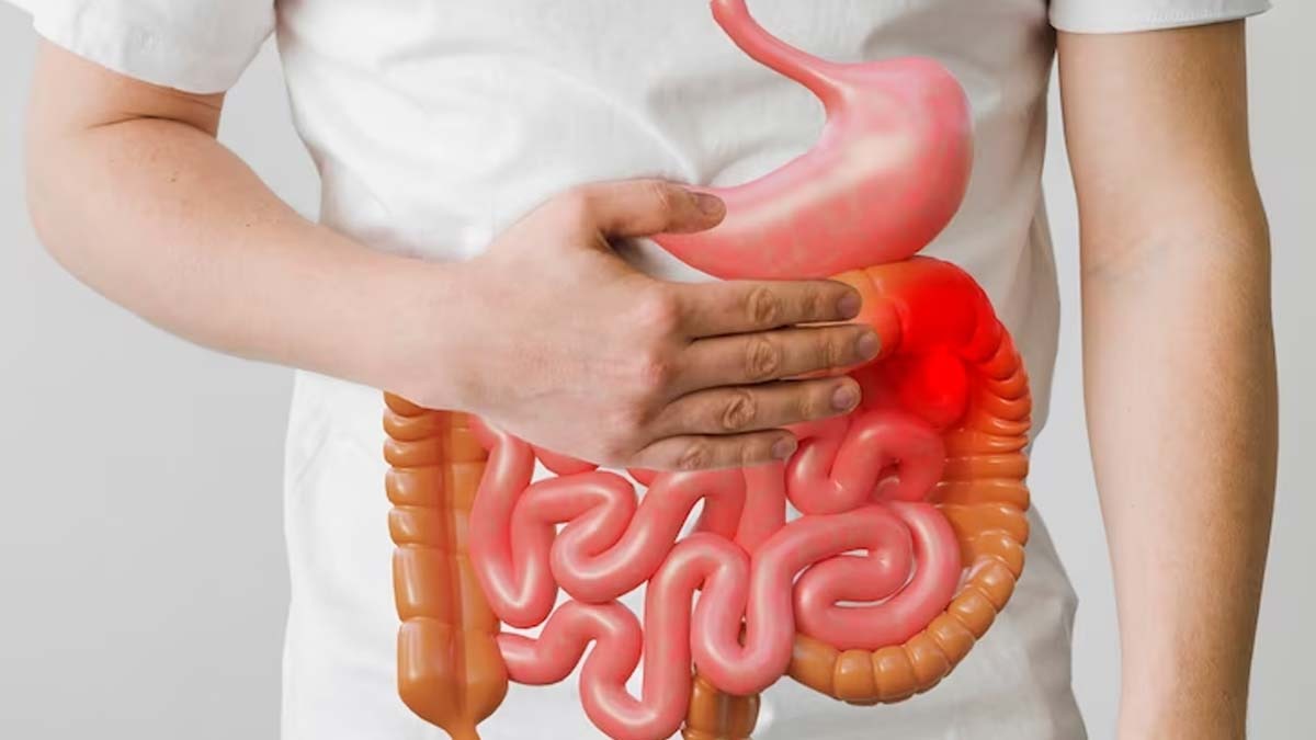 செரிமான பிரச்சனை முதல் புற்றுநோய் வரை.... பிளம்ஸ் தரும் நன்மைகள்!