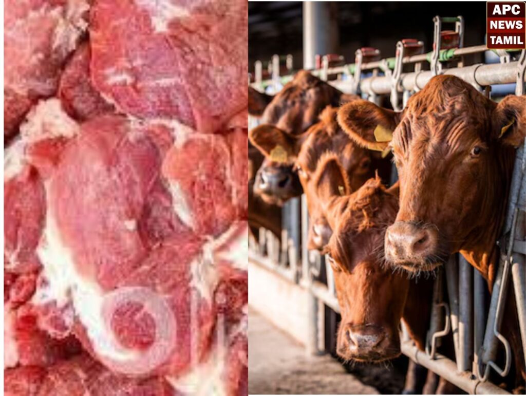 இனி மாடுகளைக் கொன்றால், ஆயுள் தண்டனை!!