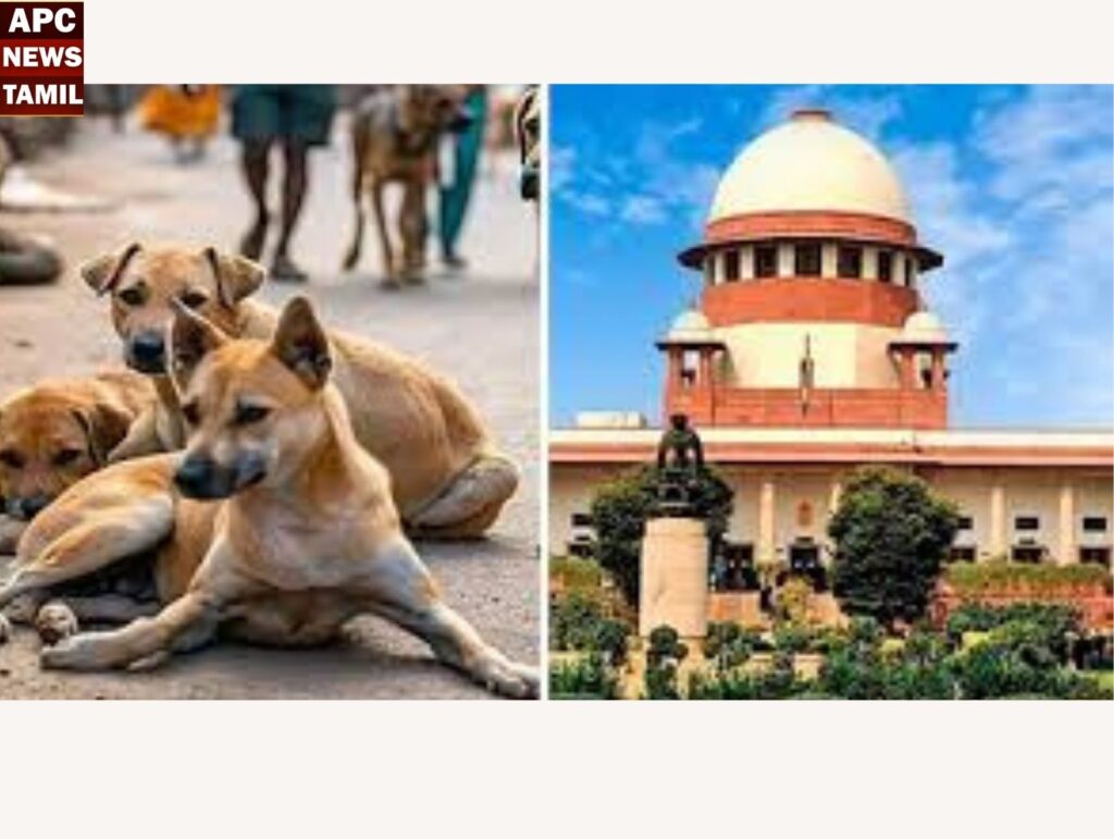 தெருநாய் விவகாரம்…உச்சநீதி மன்றத்தில் தமிழக அரசு விளக்கம்