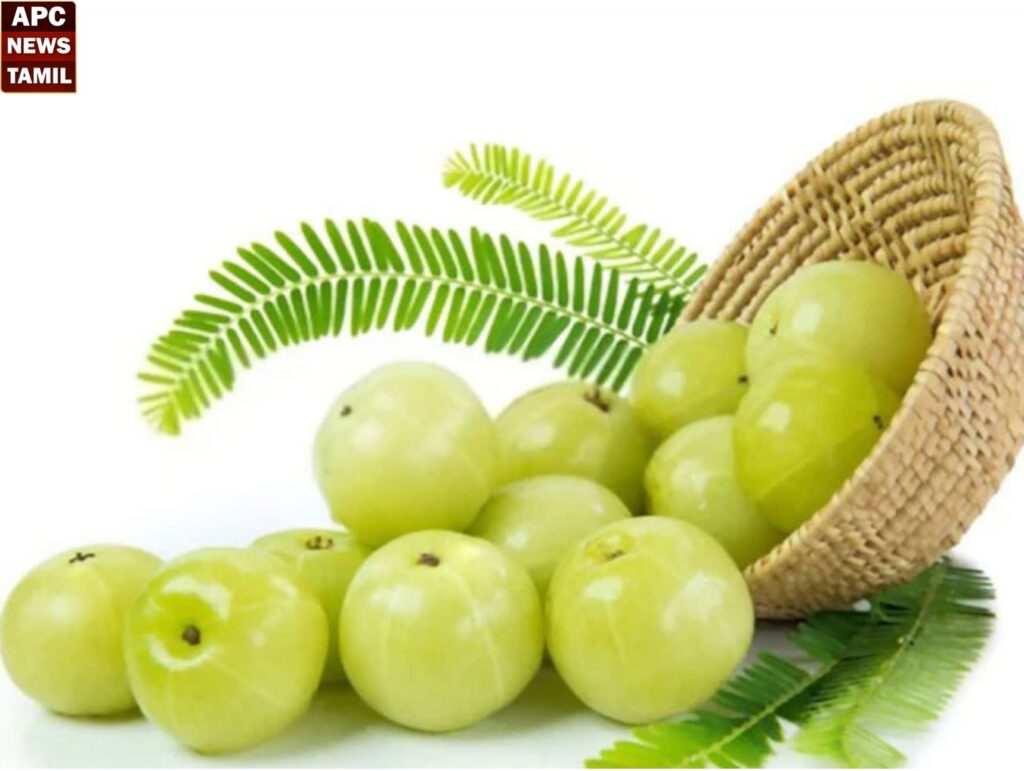 நெல்லிக்காய் சாப்பிட்டால் சளி பிடிக்குமா?