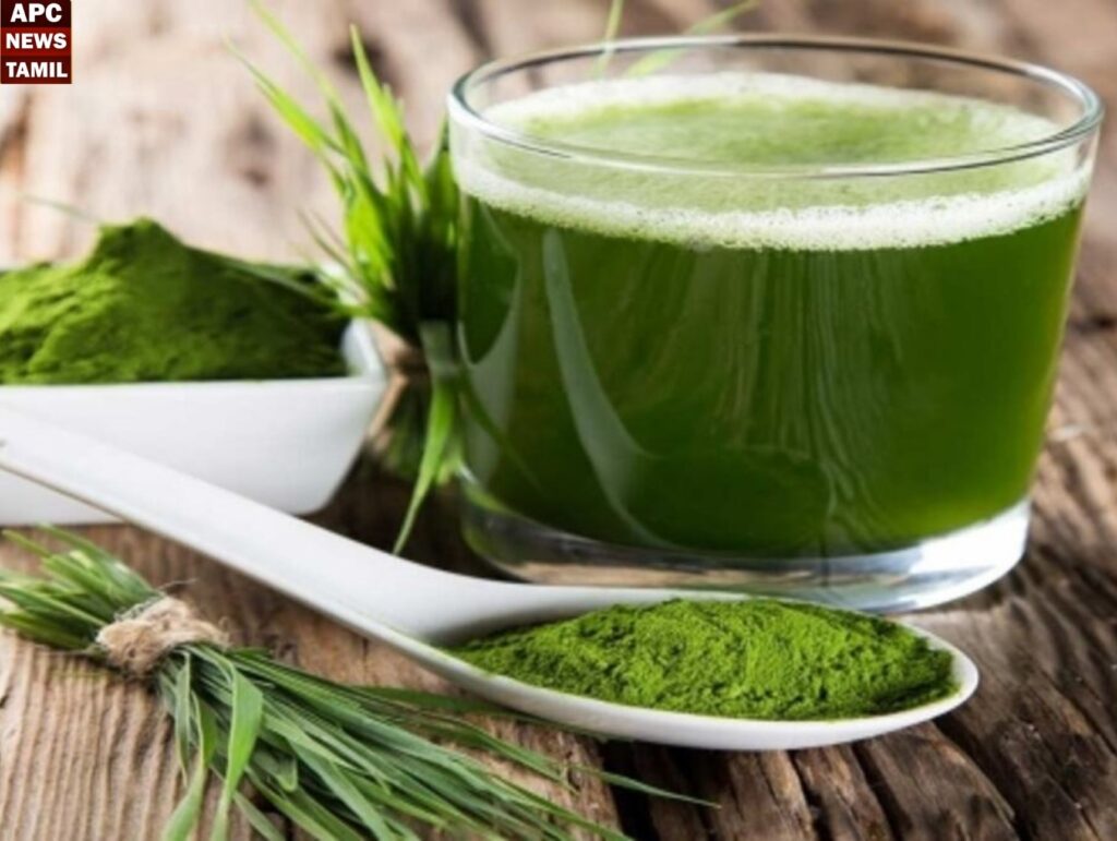 அருகம்புல்லின் மகத்துவங்கள்… மகிமைகள்…