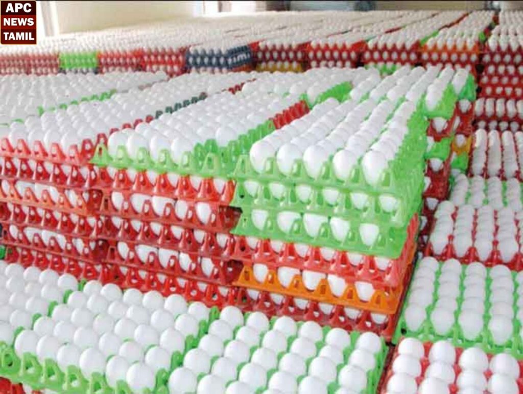 முட்டை விலை மேலும் 5 காசுகள் உயர்வு!!