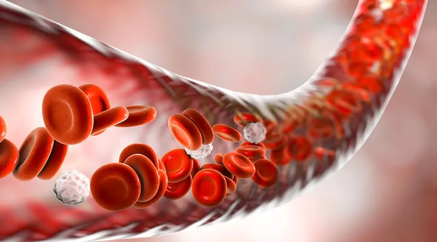 நோய் எதிர்ப்பு சக்தி அதிகரிக்கனும்னா பச்சை மிளகாய் சாப்பிடுங்க!