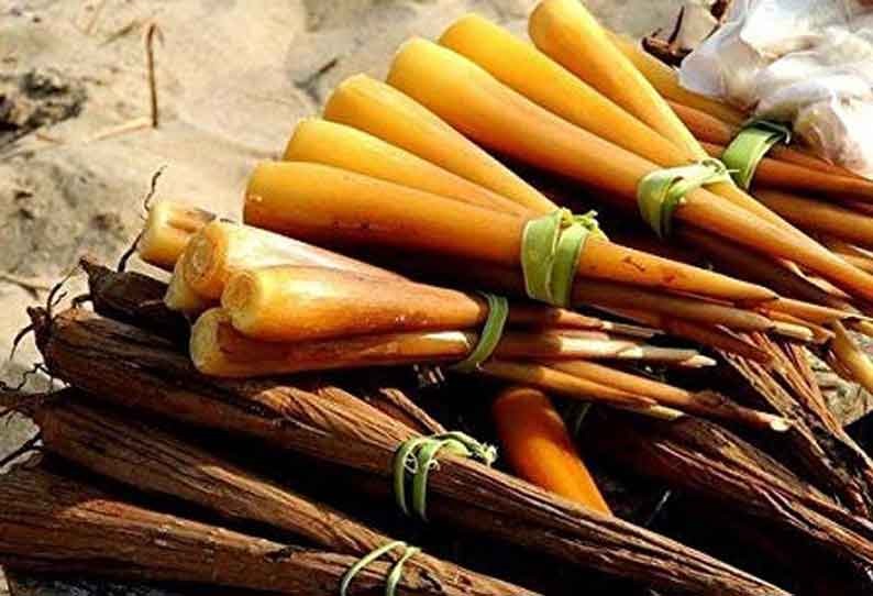 மலச்சிக்கல் முதல் இதய ஆரோக்கியம் வரை.... தீர்வு தரும் பனங்கிழங்கு!