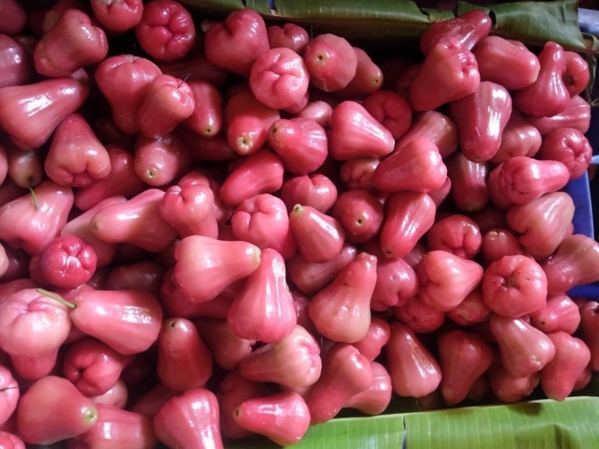 மூளை தொடர்பான நோய்கள் வராமல் தடுக்கும் பன்னீர் ஆப்பிள்!