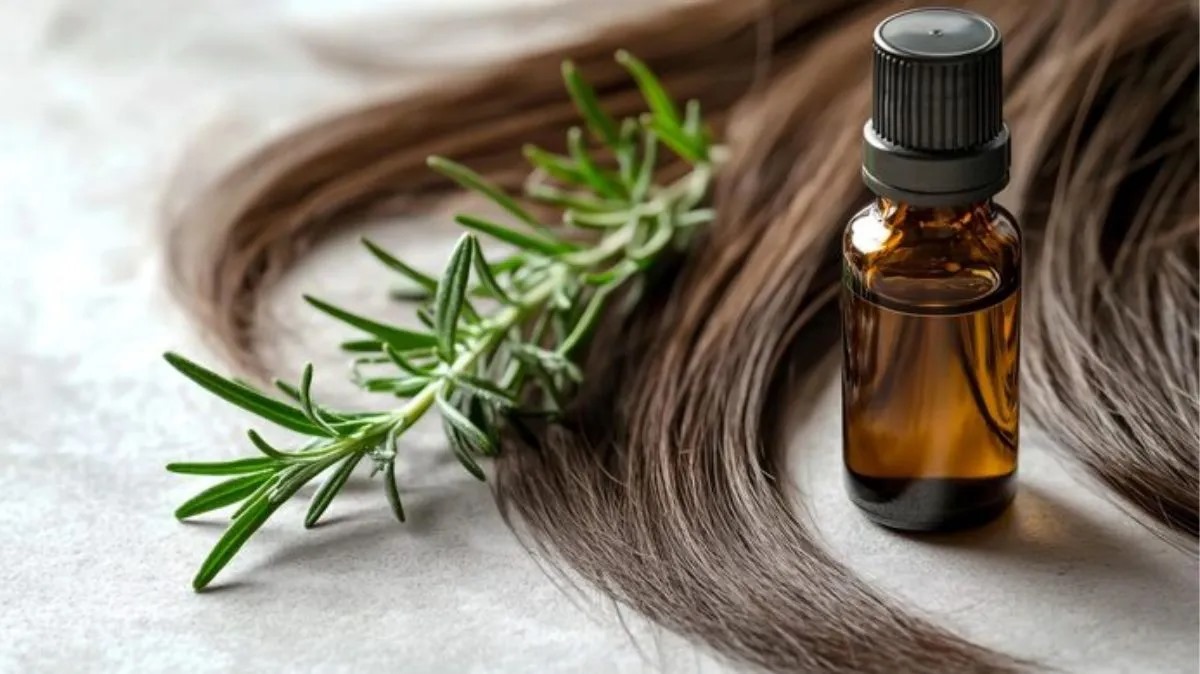 முடி வளர்ச்சியை தூண்டும் ரோஸ்மேரி எண்ணெய்.... நீங்களும் ட்ரை பண்ணி பாருங்க!
