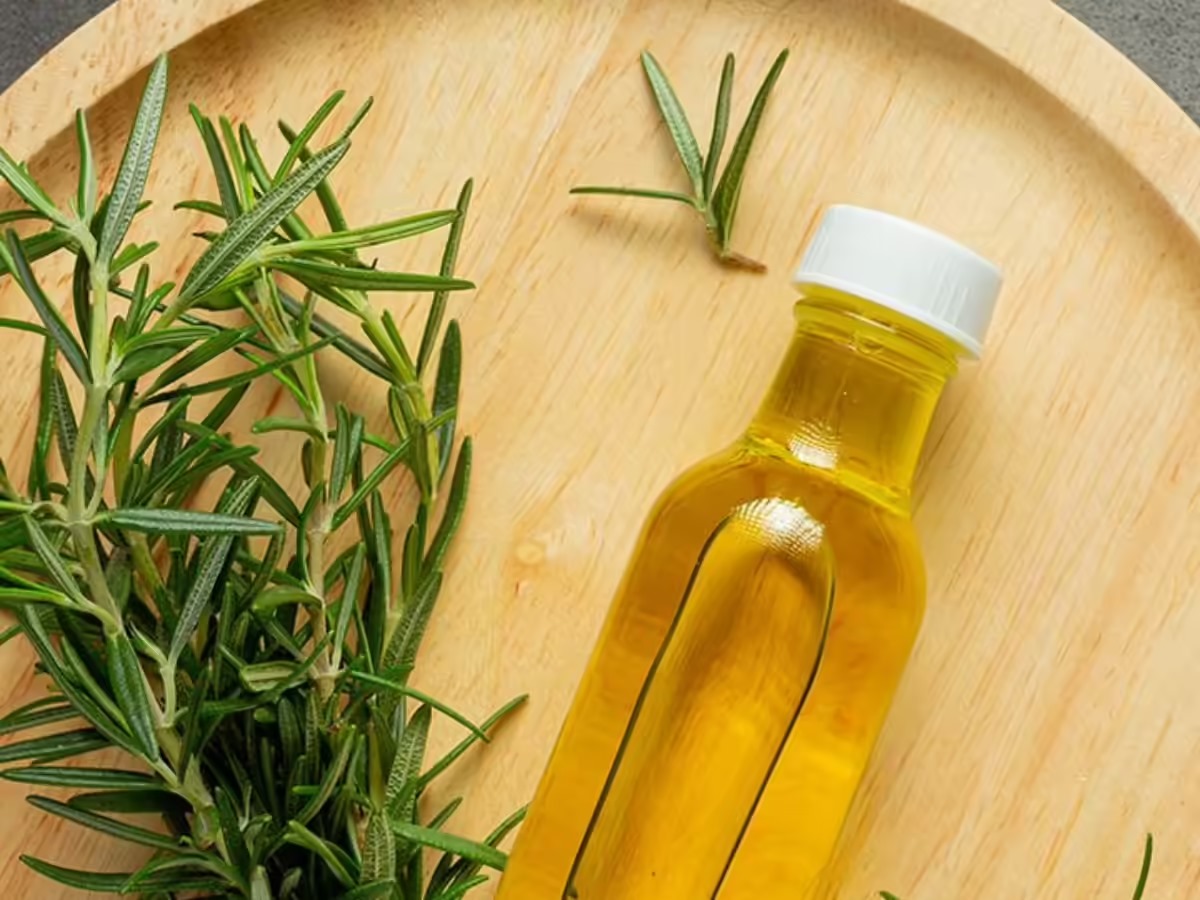 முடி வளர்ச்சியை தூண்டும் ரோஸ்மேரி எண்ணெய்.... நீங்களும் ட்ரை பண்ணி பாருங்க!