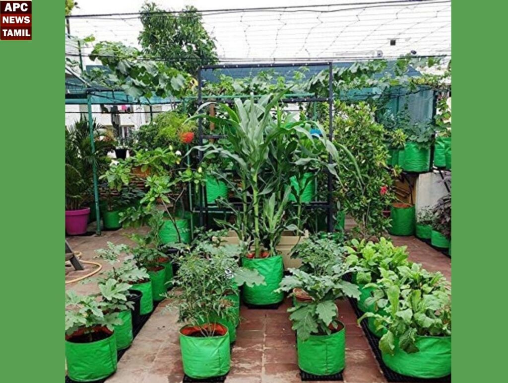 இயற்கை முறையில் உங்கள் மாடி தோட்டத்தை மேம்படுத்த வேண்டுமா? சூப்பர் வழிகள்! இதோ…