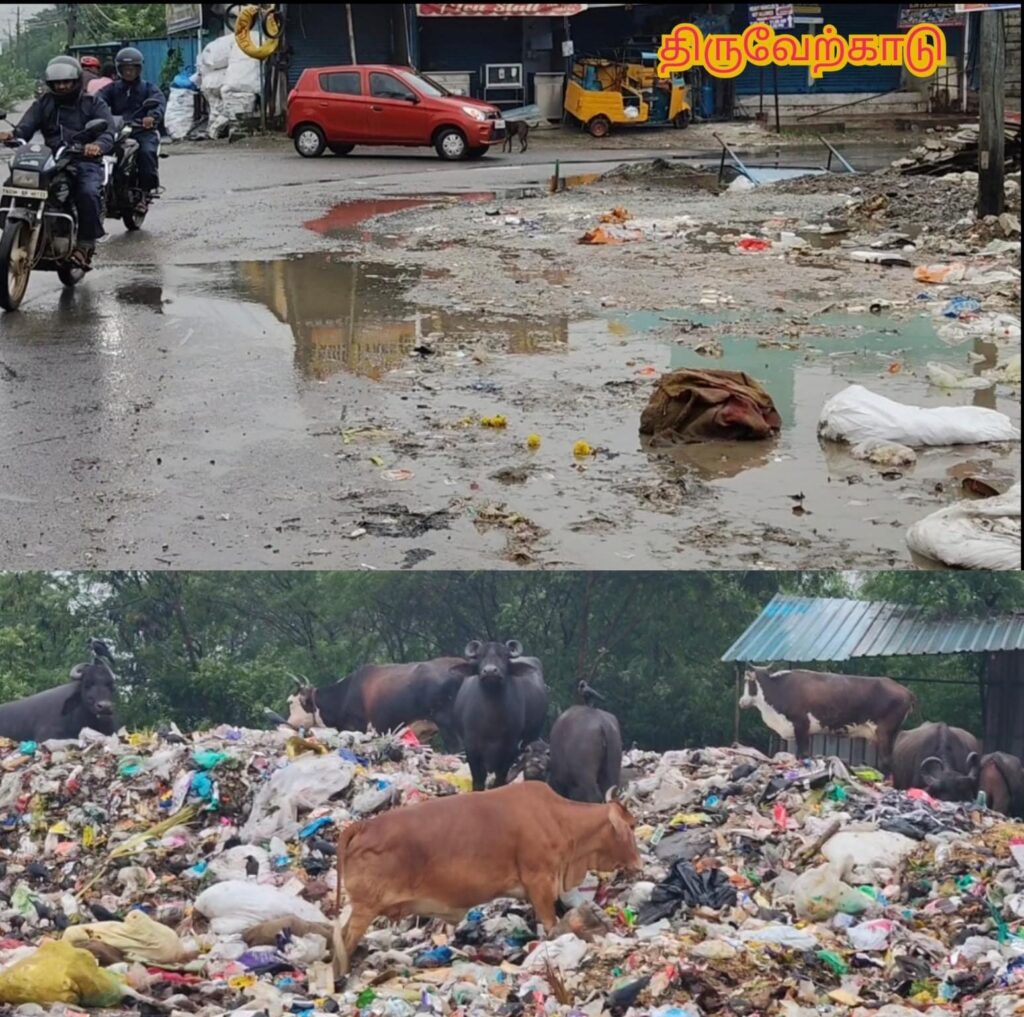 திருவேற்காட்டில் துர்நாற்றம் வீசும் குப்பைக் குவியல்: மக்கள், கால்நடைகளுக்கு நோய் பரவும் அபாயம்!