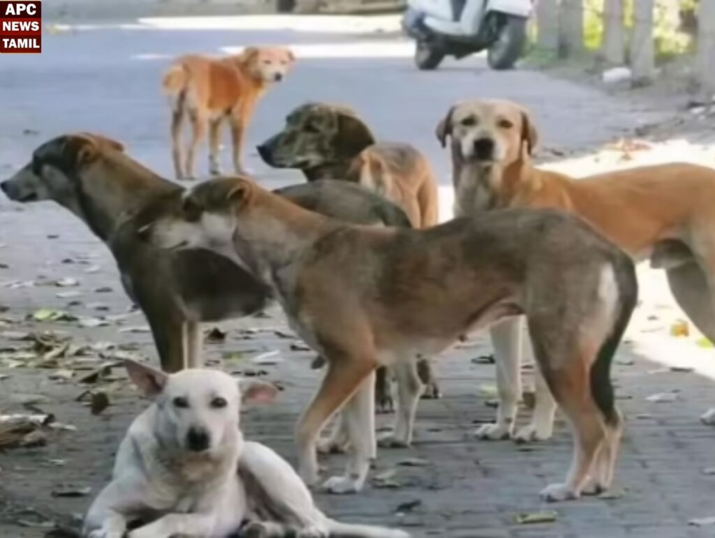 தெலுங்கானாவில் கொடூரம்… மேலும் 300 நாய்கள் கொலை!!