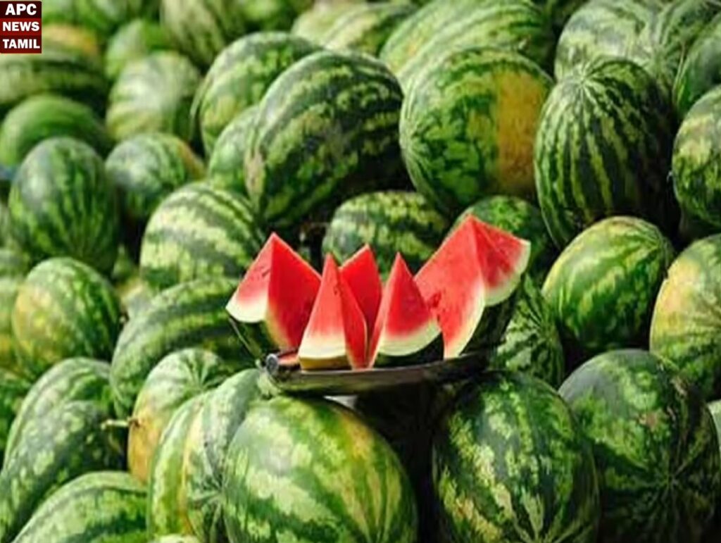 பொள்ளாச்சியில் களைக்கட்டிய தர்பூசணி சீசன்…