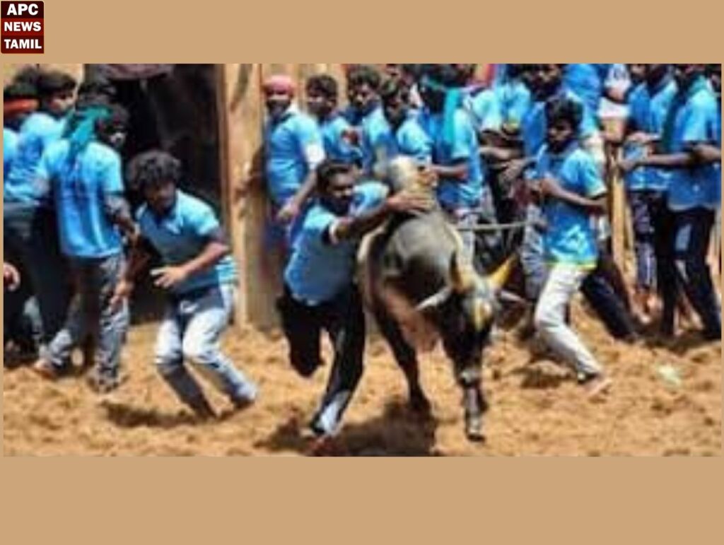 “ஜல்லிக்கட்டு போட்டி ஐபிஎல் மேட்ச் கிடையாது”- நீதிபதிகள் கருத்து 