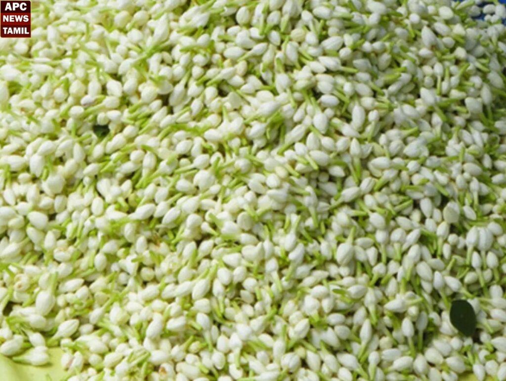 மல்லிகை பூக்களின் விலை கிடுகிடு உயர்வு!!