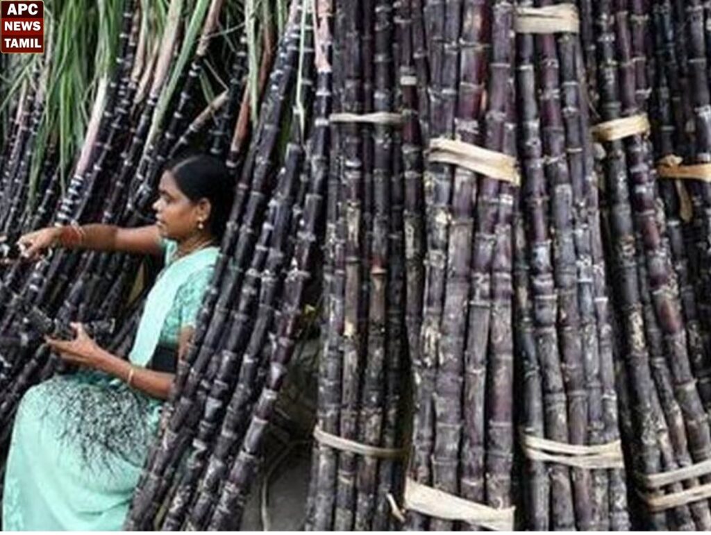 கரும்பு விற்பனை மந்தம்…வியாபாரிகள் வேதனை…