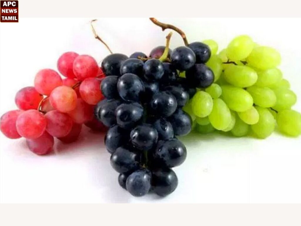 திராட்சை சாப்பிடுவதால் கிடைக்கும் நன்மைகள் என்னென்ன தெரியுமா?