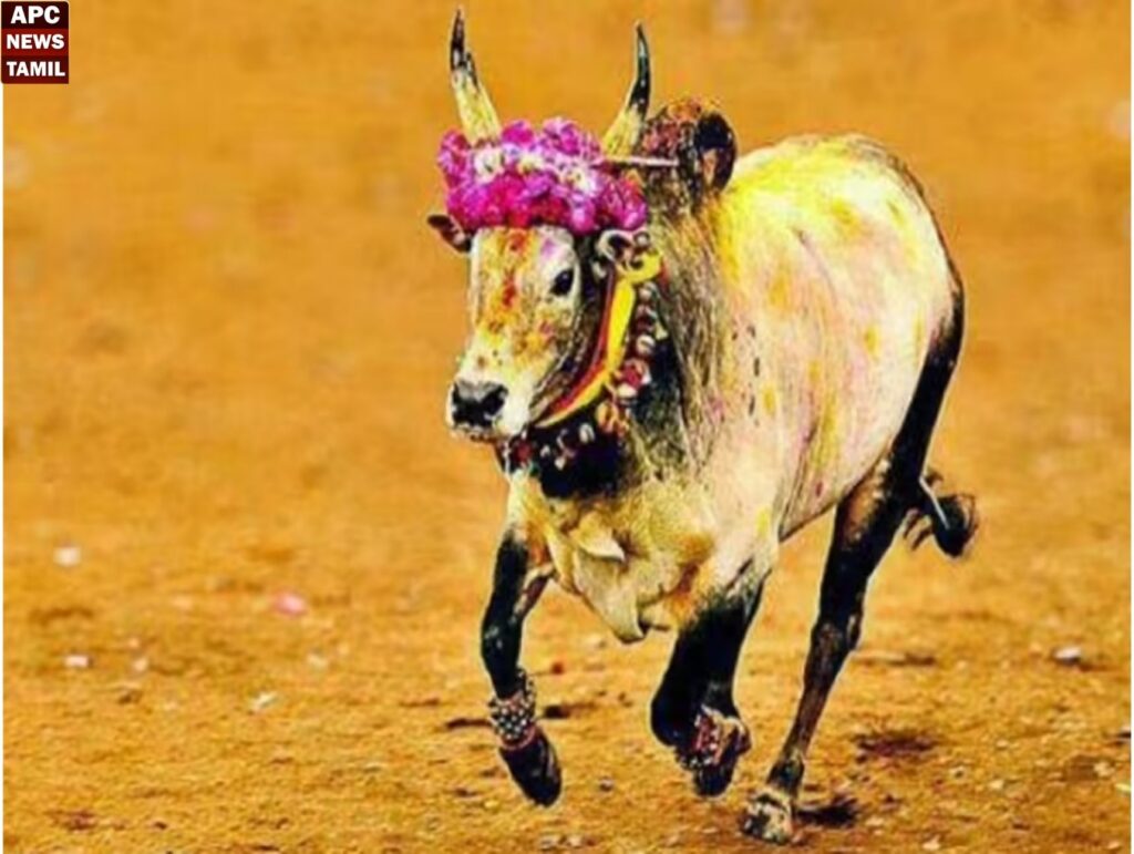 சேலத்தில் அனுமதியின்றி எருதாட்டம் – இருவர் பலி