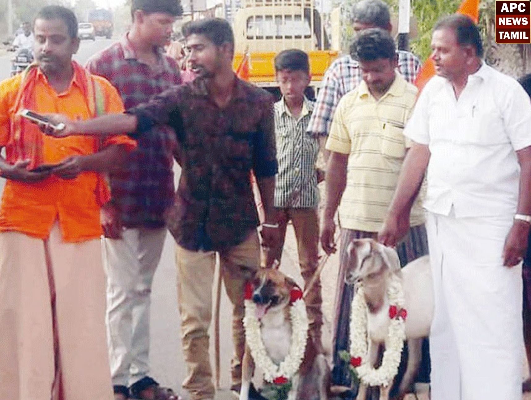 காதலர் தினத்திற்கு எதிர்ப்பு…ஆட்டுக்கும் நாய்க்கும் திருமணம்!!