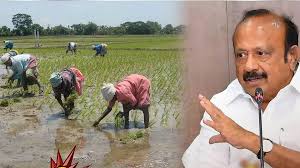 குறுவை சாகுபடி தொகுப்பின் கீழ் 19 லட்சம் பேர் பயன் – அமைச்சர் எம்.ஆர்.கே. பன்னீர்செல்வம்