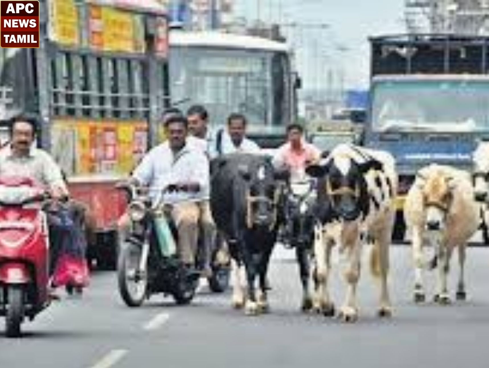 கோத்தகிரி-குன்னூர் நெடுஞ்சாலை…கால்நடைகள் உலா வருவதால் விபத்து ஏற்படும் அபாயம்!!