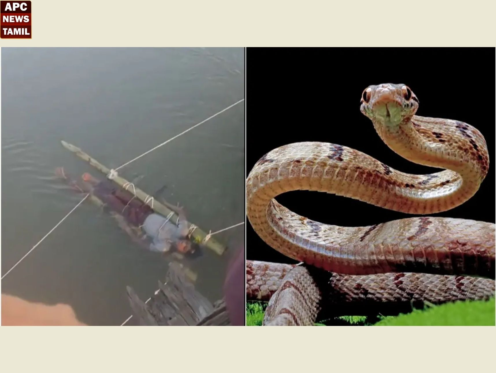 உத்தரப்பிரதேசம்: பெற்றோரின் மூட நம்பிக்கையால் 14 வயது சிறுவன் பலி!!