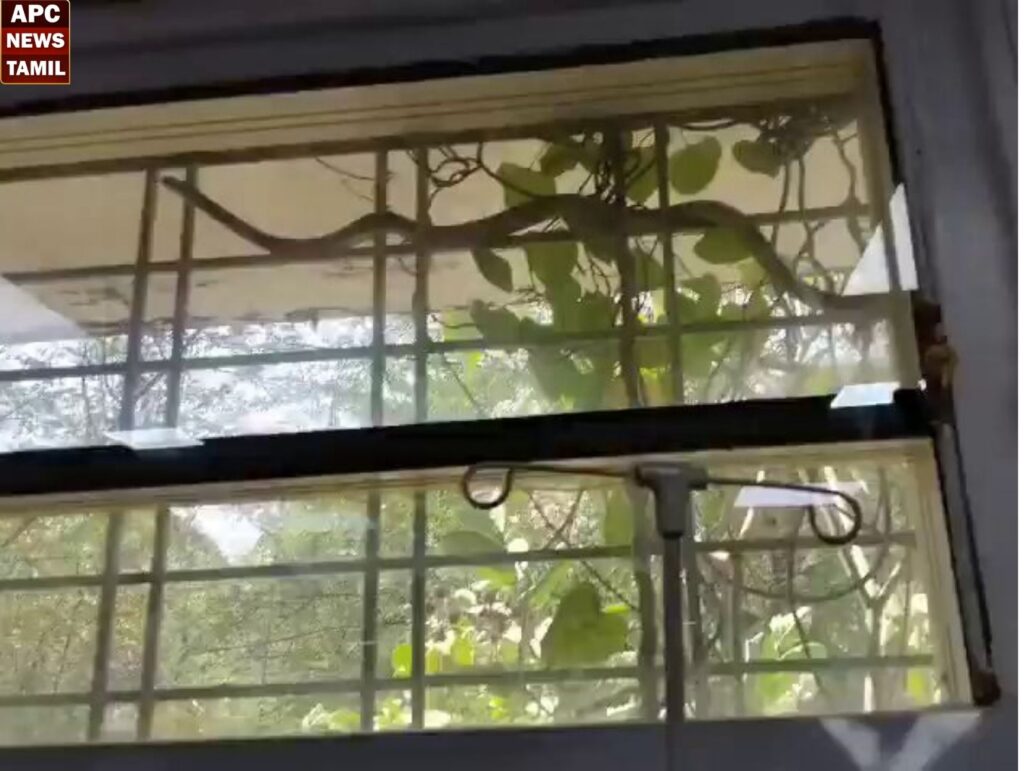 மத்தியபிரதேசம்: சுமார் 10 அடி நீளமுள்ள நாகப்பாம்பு புகுந்தது – அதிர்ச்சியில் நோயாளிகள்