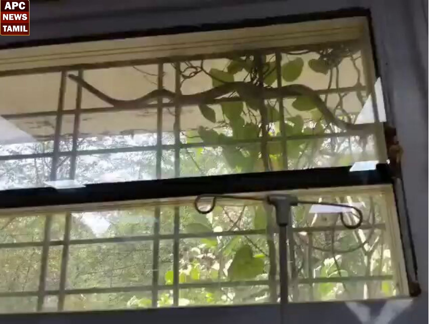 மத்தியபிரதேசம்: சுமார் 10 அடி நீளமுள்ள நாகப்பாம்பு புகுந்தது – அதிர்ச்சியில் நோயாளிகள்