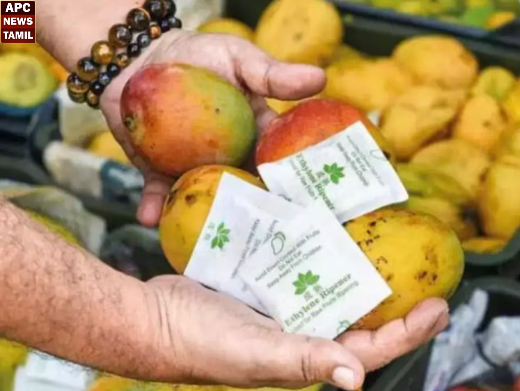 ரசாயனம் கலந்த மாம்பழங்களை விற்றால் 5 ஆயிரம் அபராதம் – உணவு பாதுகாப்புத்துறை எச்சரிக்கை