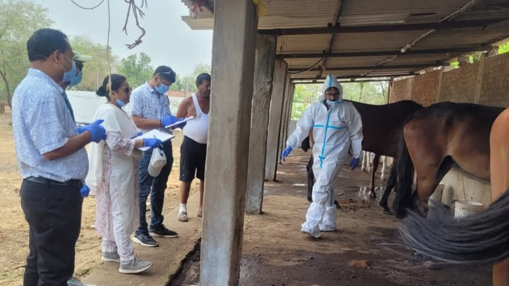 தமிழகத்தில் பரவும் கிளாண்டர்ஸ் தொற்று…140-க்கும் மேற்பட்ட குதிரைகளுக்கு பரிசோதனை நடத்த உத்தரவு…