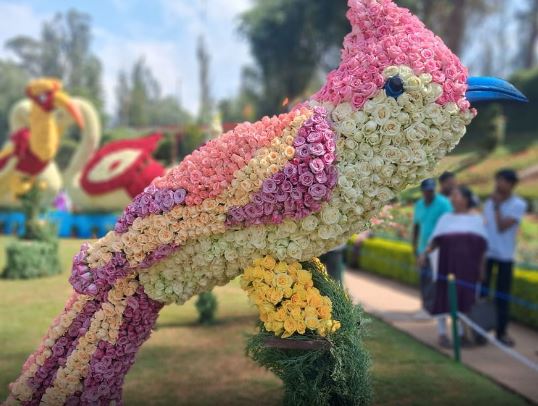 ”பறவைகளின் சொர்க்கம்” ஊட்டி ரோஜா பூங்காவில் கண்கவர் அலங்காரம்…