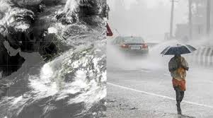 நீலகிரியில் சோகம்…காட்டு யானை தாக்கி இருளர் இணத்தை சேர்ந்தவர் பலி…