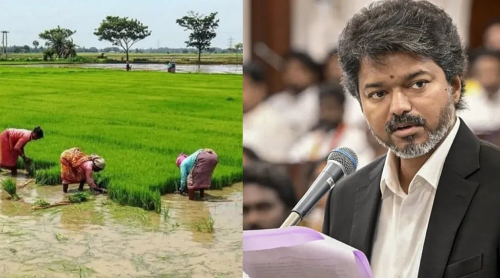 குறுவை சாகுபடிக்கு ரூ.134.83 கோடி சிறப்புத் தொகுப்பு - முதலமைச்சர் விஜய் அறிவிப்பு