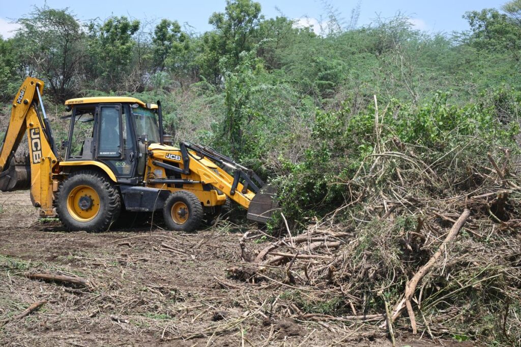 சீமை கருவேல மரங்களை அகற்றக் கோரும் அமைப்புகளுக்கு 24 மணி நேரத்திற்குள் அனுமதி! -