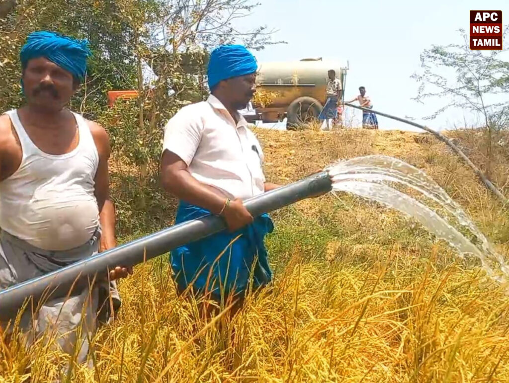 மும்முனை