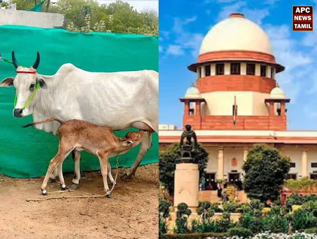 சென்னை